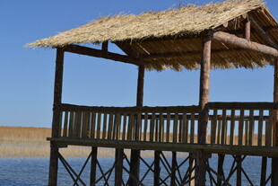 湖畔木质茅草观景台