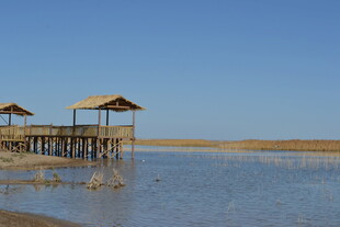 湖畔木亭 静享自然之美