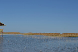 湖畔小屋 宁静水域风光