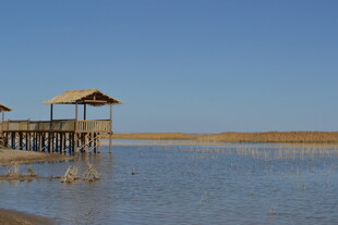 湖畔木质凉亭 宁静风光
