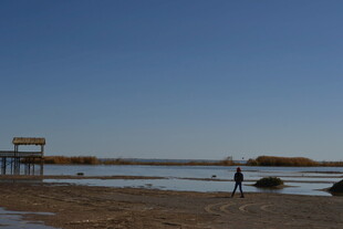 海边漫步的孤独身影