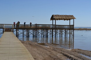 湖畔木栈道上的悠闲身影