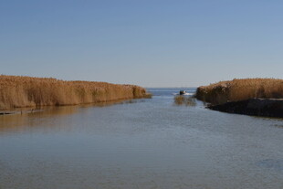 宁静河道与远处石堤景观