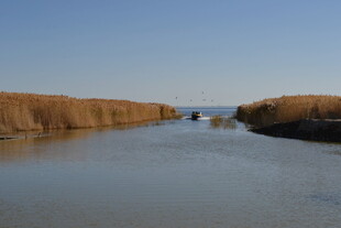 宁静河道 两岸金黄草垛