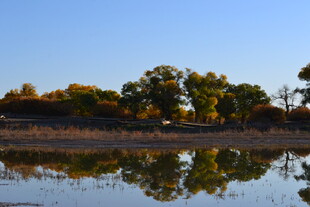 秋日湖畔美景倒影如画