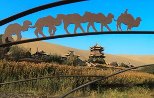 草原上的动物剪影景观