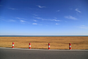 空旷公路旁的橙白警示桩