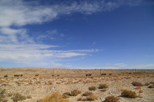 广袤荒漠蓝天景象