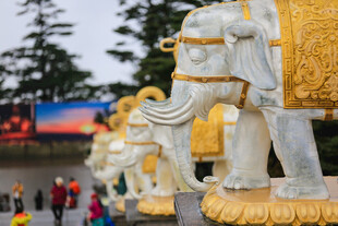 金色装饰大象雕塑景观