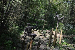 丛林中的户外探险场景