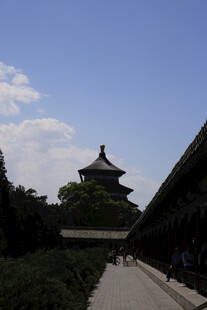 古建庭院中的宁静景致