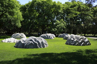 草地上的奇特石头景观