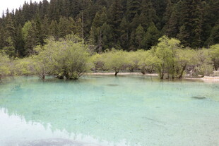 清澈幽美的山间湖泊