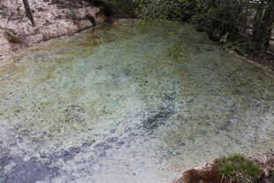清澈山间溪流美景