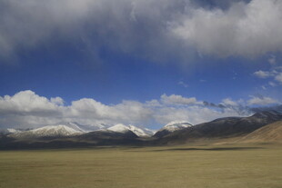 广袤草原与远处雪山景观