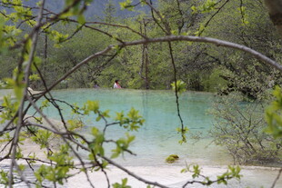 山间碧湖与葱郁树枝