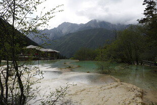 山间绿水畔的静谧景致