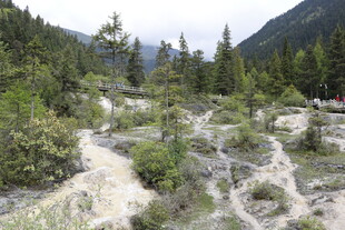 山间溪流旁的自然景致