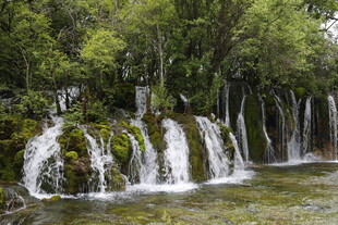 森林中的秀丽瀑布景观