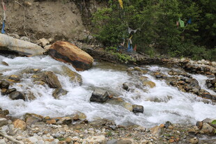 山间溪流潺潺 水流湍急