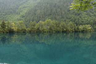 静谧蓝湖映葱郁山林