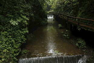 山间溪流旁的木质栈道