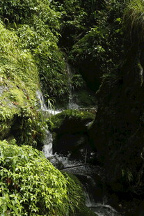 山间溪流瀑布绿意盎然