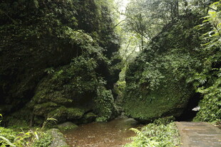 山间幽径 绿意盎然的峡谷