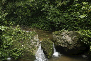 山林间的潺潺溪流