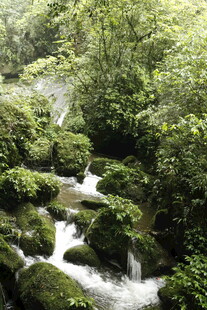 山间溪流 绿意盎然的自然景
