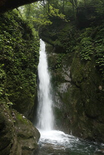 山间瀑布 自然清新之景