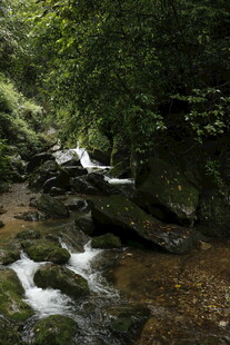 山间溪流 绿意盎然的景致
