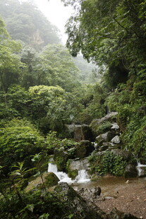 山林间的清幽溪流景观