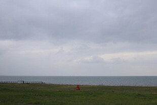 阴天海边草地的静谧景象
