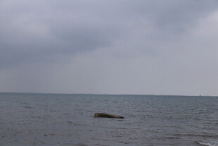 阴天下的平静海面