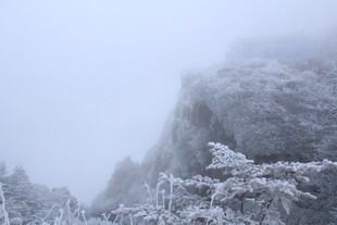 雪覆山林 银白冬日景致