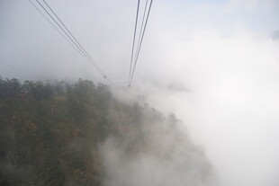 云雾中缆车穿梭山林