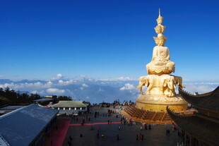 壮丽金佛屹立于开阔天地