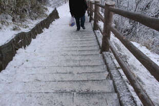 雪后漫步石阶