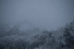 雾中覆雪山林美景