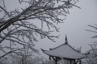 雪覆古亭 尽显冬日静谧之美