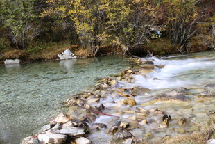 山间清澈溪流与嶙峋石块