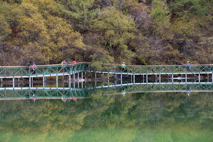 湖畔栈桥映秋色