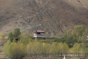 山间小屋伴绿树