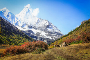 秋日雪山下的壮美自然风光