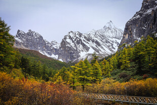 秋日山间美景 雪峰映林