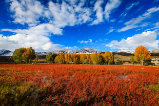 秋日多彩原野风景