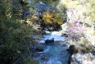 山间溪流与多彩植被景观