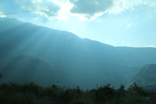 山间晨光洒向葱郁树林