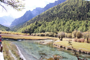 山间溪流旁的秀丽风光